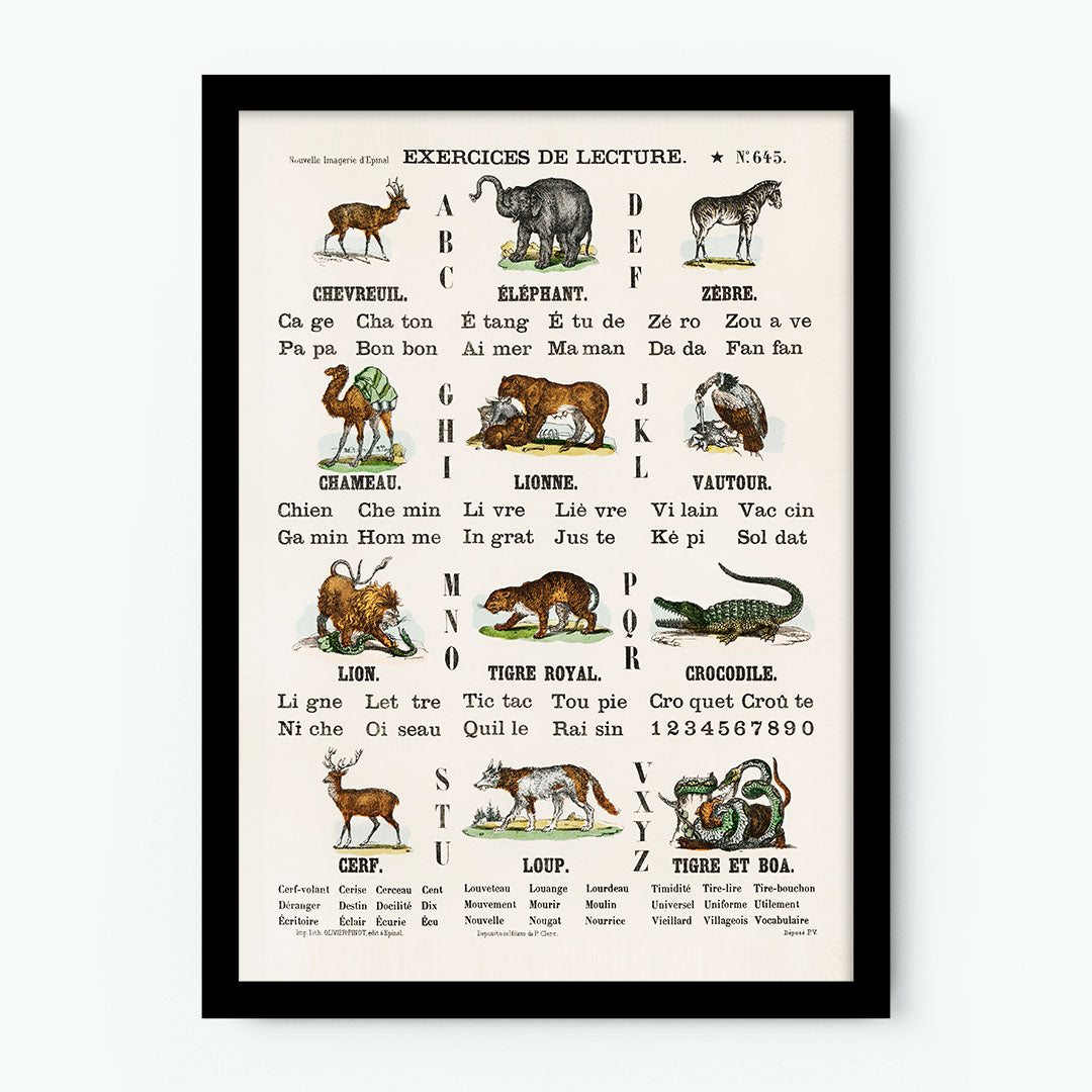 Catchpenny Print- Alphabet - Animals (1870) by Oliver Goldsmith Poster